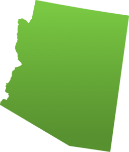 Lifesafer Ignition Interlock Arizona Lifesafer Ignition Interlock Arizona