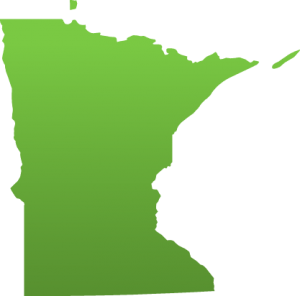Lifesafer Ignition Interlock Minnesota