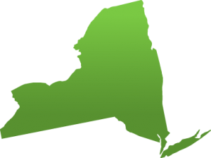 Lifesafer Ignition Interlock New York