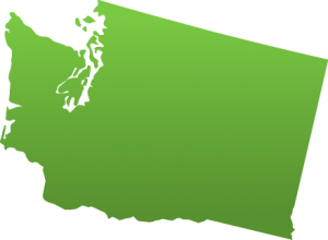 Lifesafer Ignition Interlock Washington